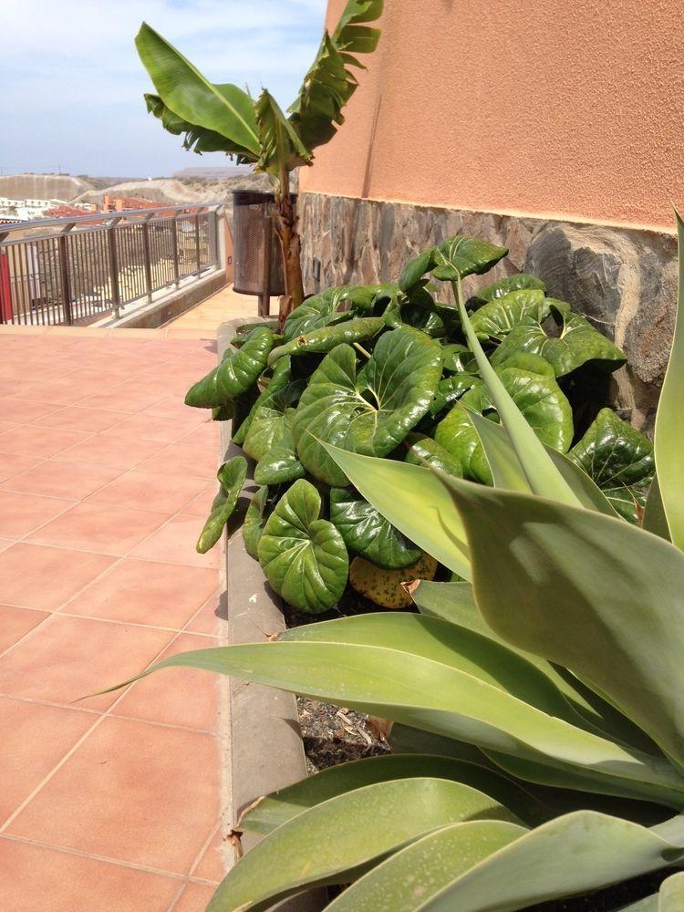 Balcon Del Mar Appart hôtel 2*